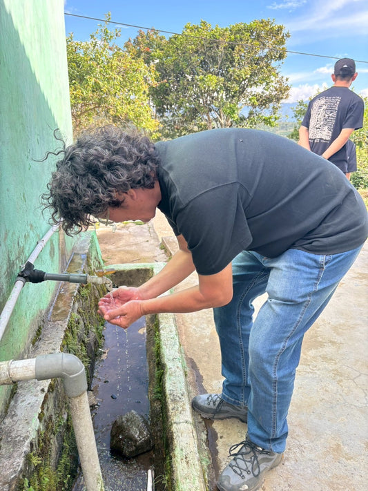 インドネシア/ Aceh Avatara WS GAYO MOUNTAIN/ Extreme washed/ 中煎り
