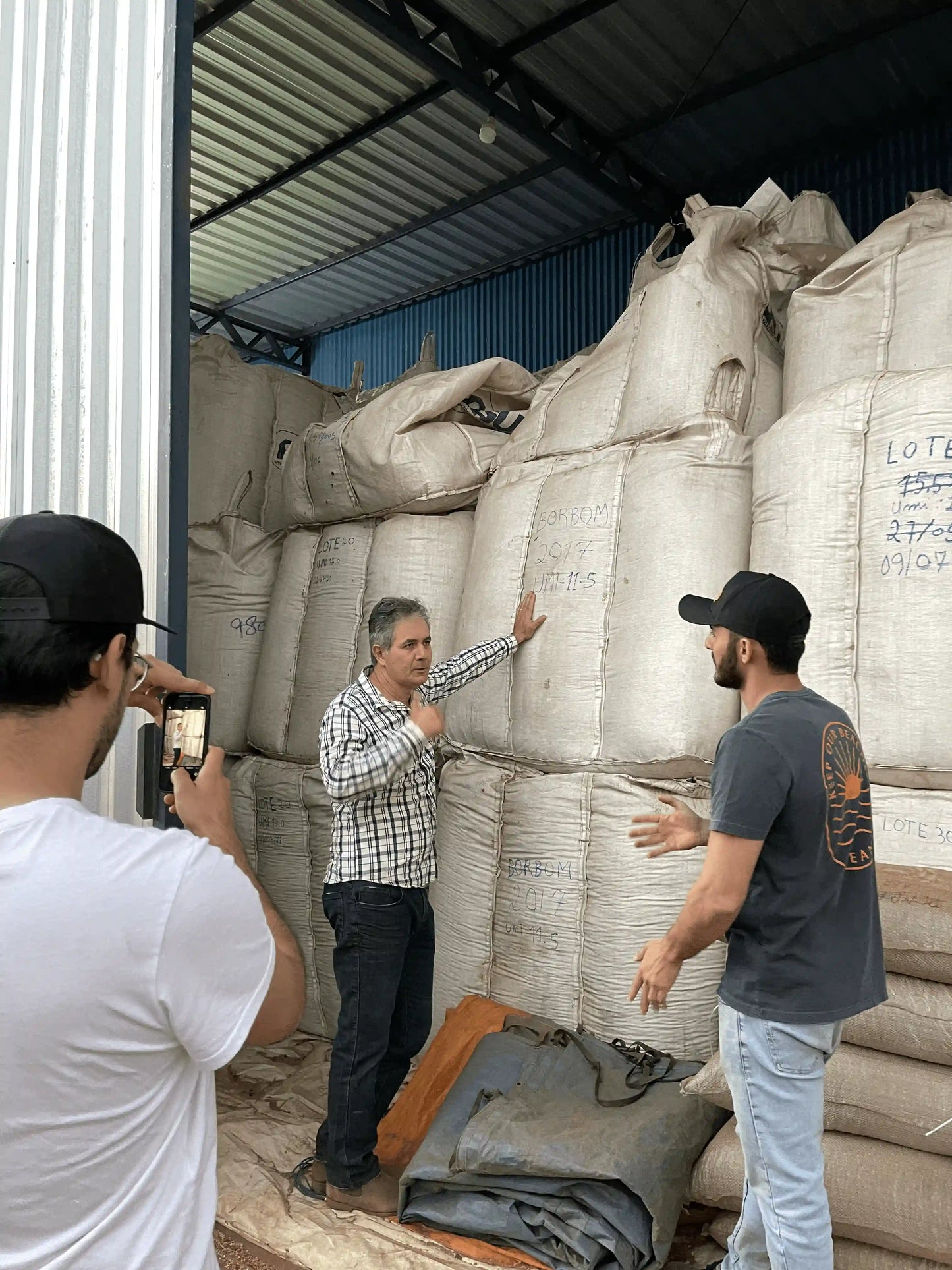 ブラジル /Alta Mogiana /Natural /中煎り