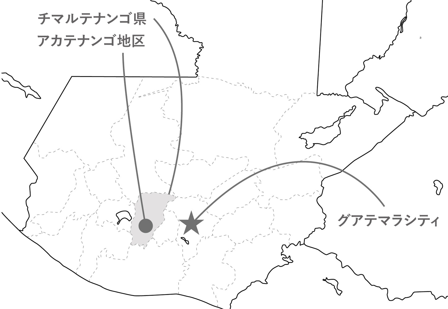 グァテマラ ACATENANGO BUENA VISTA農園 / washed /中深煎り