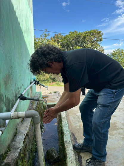 インドネシア/ Aceh Avatara WS GAYO MOUNTAIN/ Extreme washed/ 中煎り