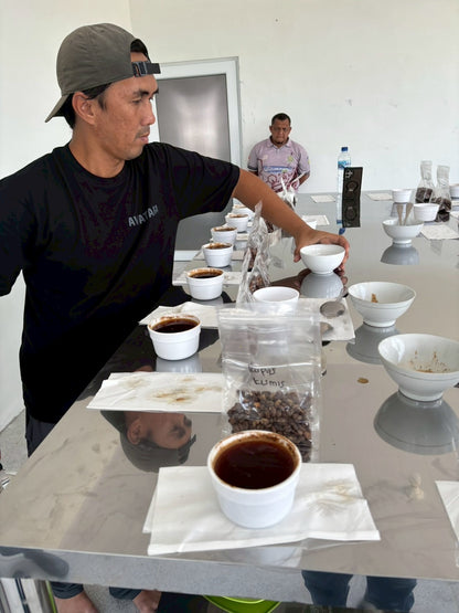 インドネシア/ Aceh Avatara WS GAYO MOUNTAIN/ Extreme washed/ 中煎り