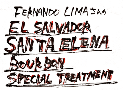 エルサルバドル /Santa Elena /Bourbon /Special Treatment /中煎り
