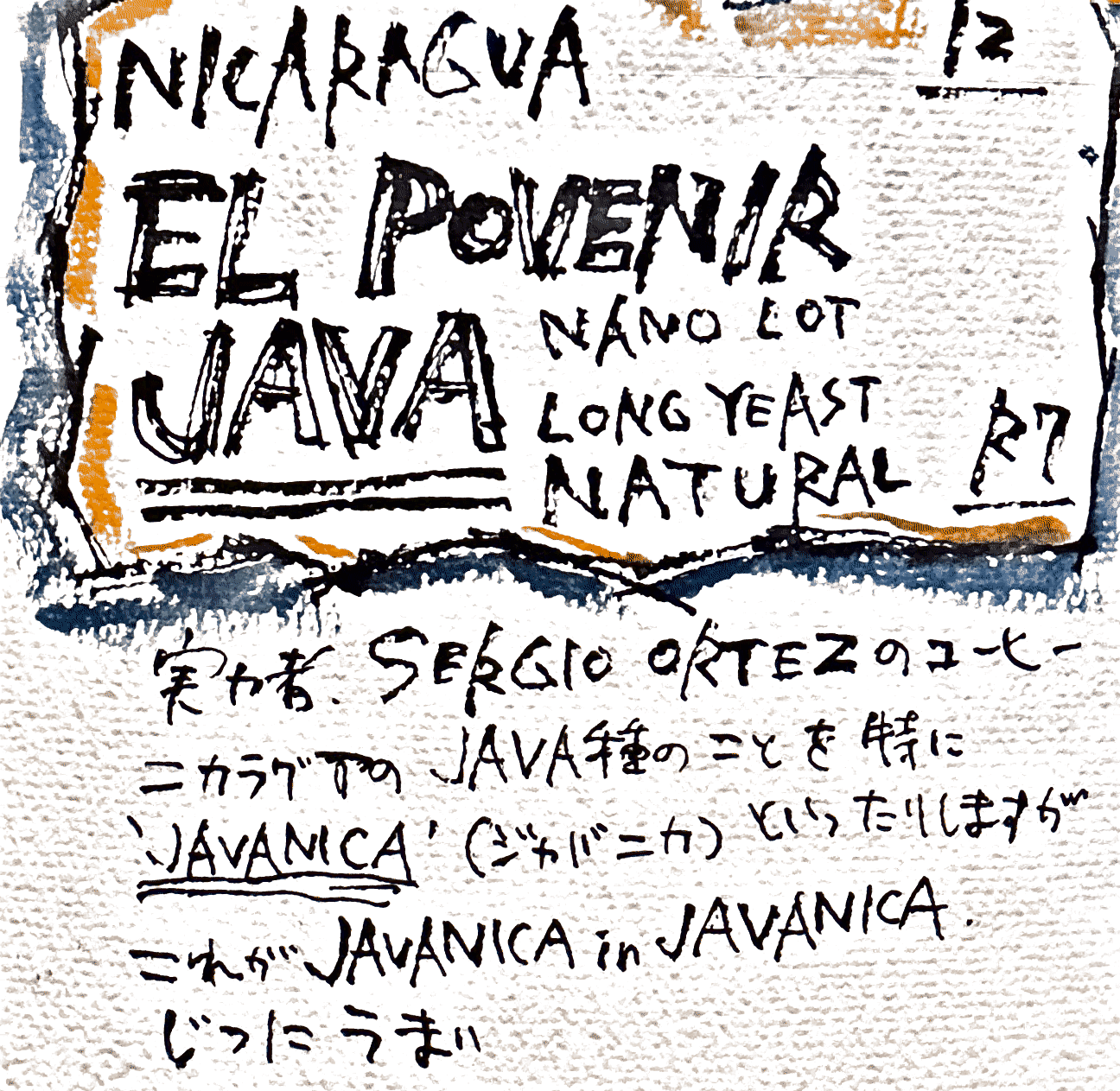 ニカラグア/EL POVENIR /JAVA/nano lot long yeast natural /深煎り