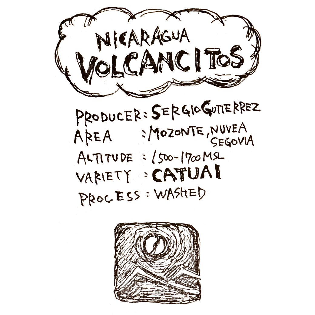 ニカラグア VOLCANCITOS /CATUAI wash/ 浅煎り
