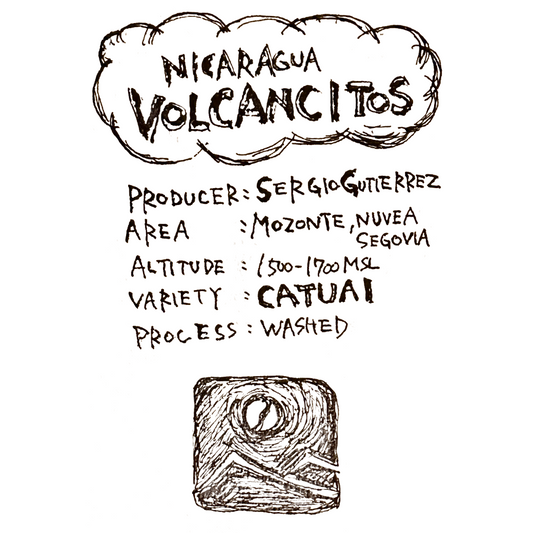 ニカラグア VOLCANCITOS /CATUAI wash/ 浅煎り
