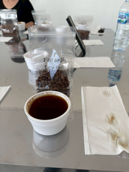 インドネシア/ Aceh Avatara WS GAYO MOUNTAIN/ Extreme washed/ 中煎り