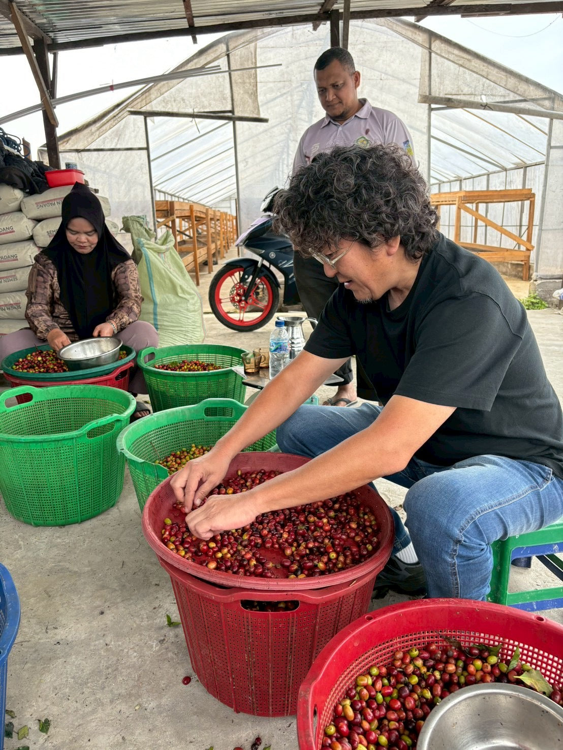 インドネシア/ Aceh Avatara WS GAYO MOUNTAIN/ Extreme washed/ 中煎り
