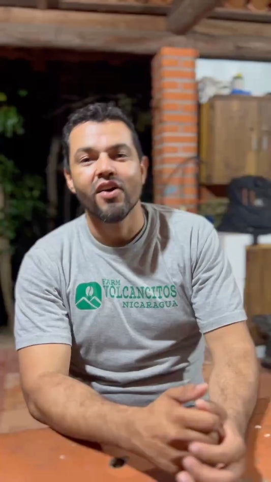 ニカラグア VOLCANCITOS /CATUAI wash/ 浅煎り