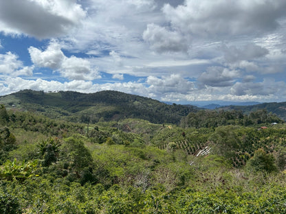インドネシア/ Aceh Avatara WS GAYO MOUNTAIN/ Extreme washed/ 中煎り