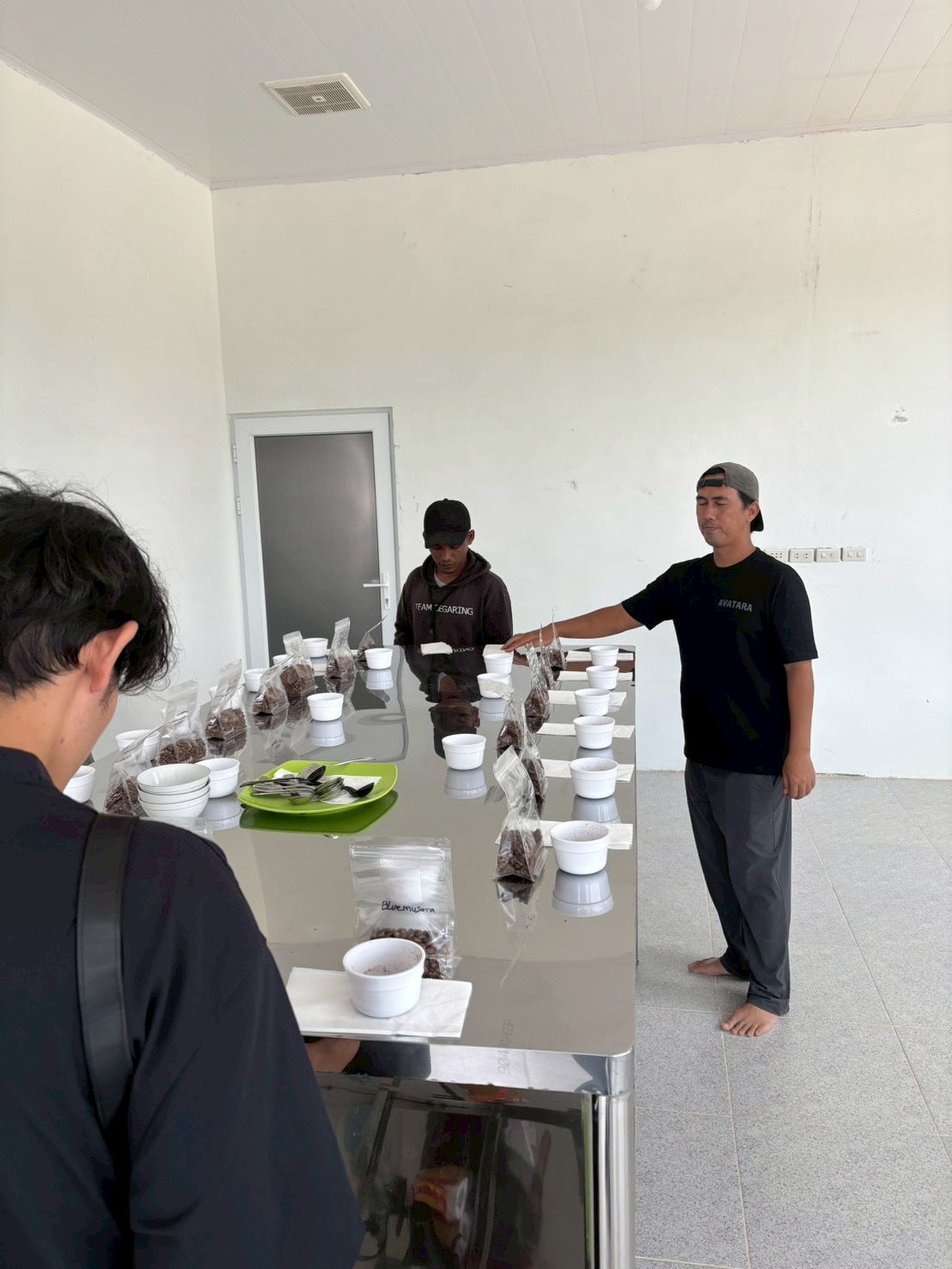 インドネシア/ Aceh Avatara WS GAYO MOUNTAIN/ Extreme washed/ 中煎り