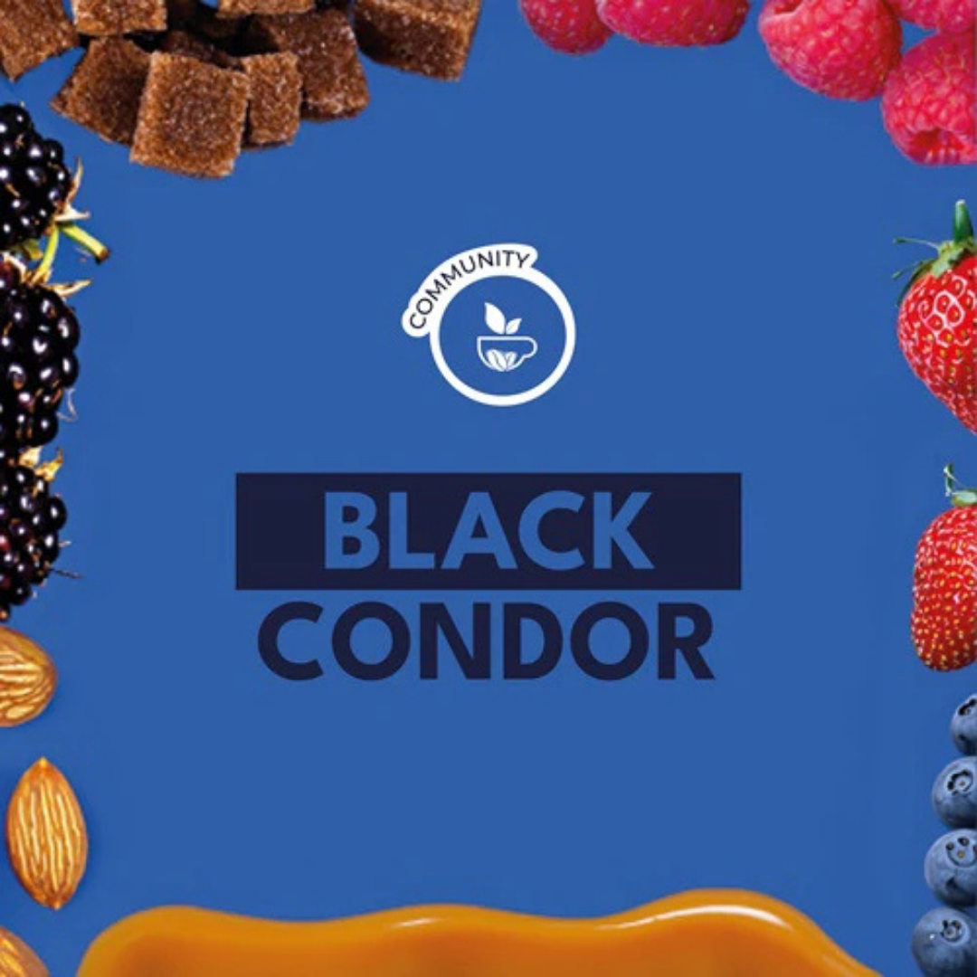 コロンビア / BLACK CONDOR /浅煎り