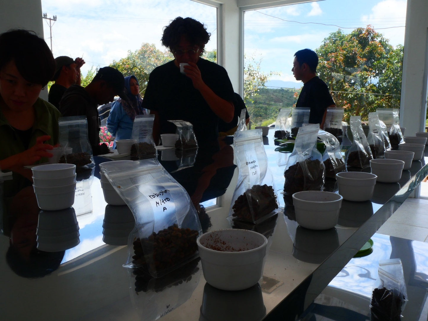 インドネシア/ Aceh Avatara WS GAYO MOUNTAIN/ Extreme washed/ 中煎り