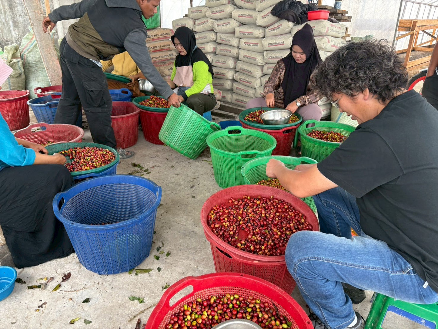 インドネシア/ Aceh Avatara WS GAYO MOUNTAIN/ Extreme washed/ 中煎り