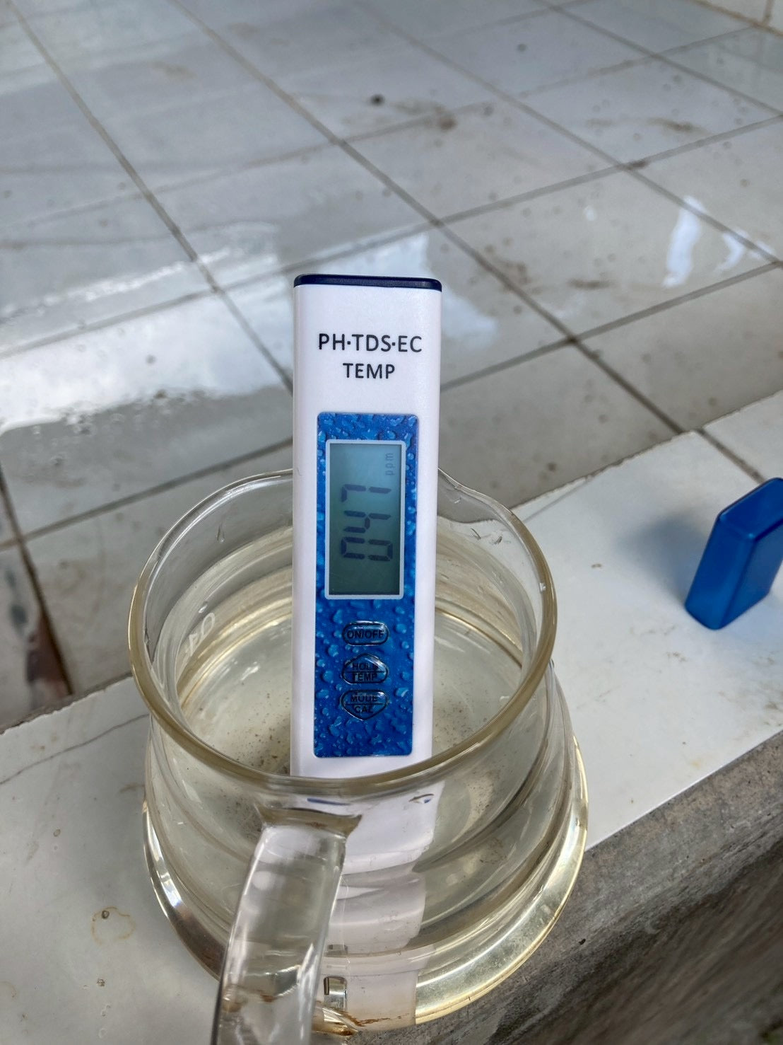 インドネシア/ Aceh Avatara WS GAYO MOUNTAIN/ Extreme washed/ 中煎り