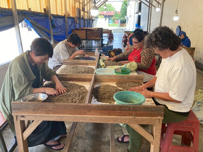 インドネシア/ Aceh Avatara WS GAYO MOUNTAIN/ Extreme washed/ 中煎り