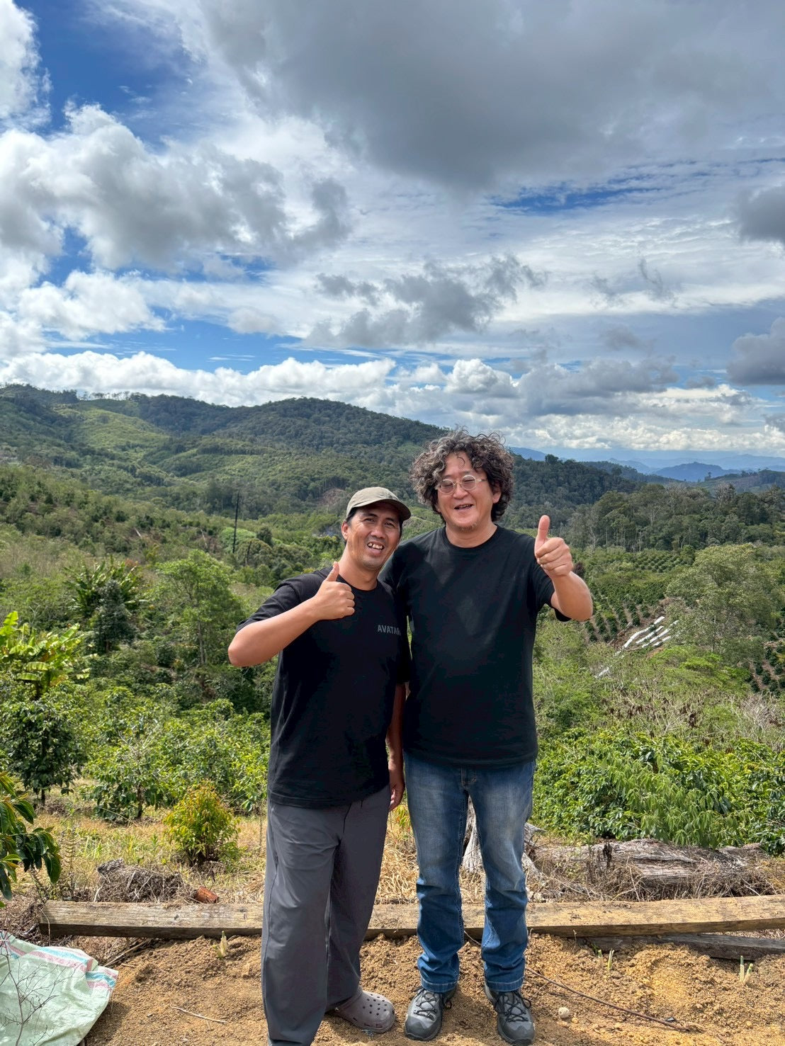 インドネシア/ Aceh Avatara WS GAYO MOUNTAIN/ Extreme washed/ 中煎り