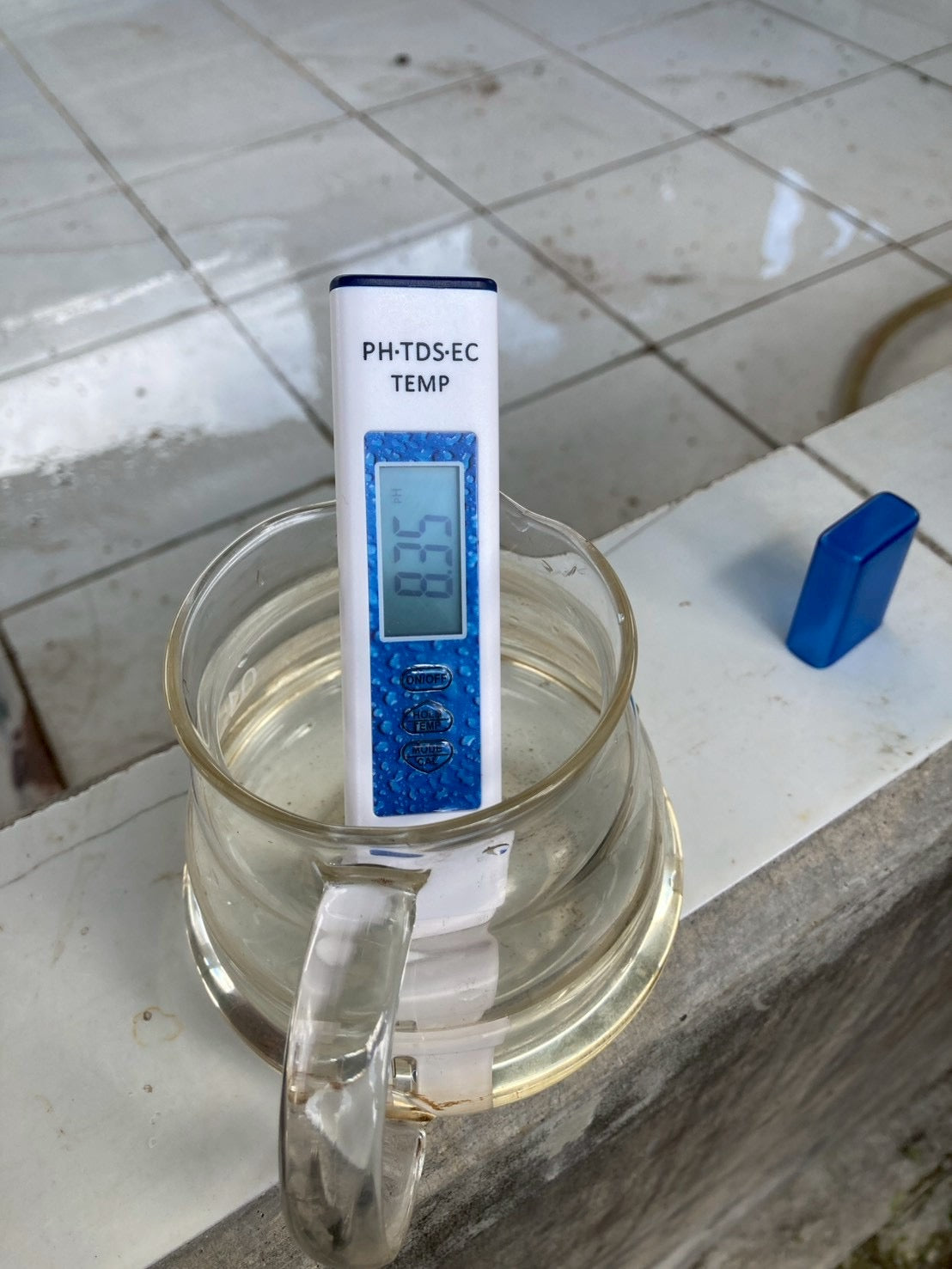 インドネシア/ Aceh Avatara WS GAYO MOUNTAIN/ Extreme washed/ 中煎り