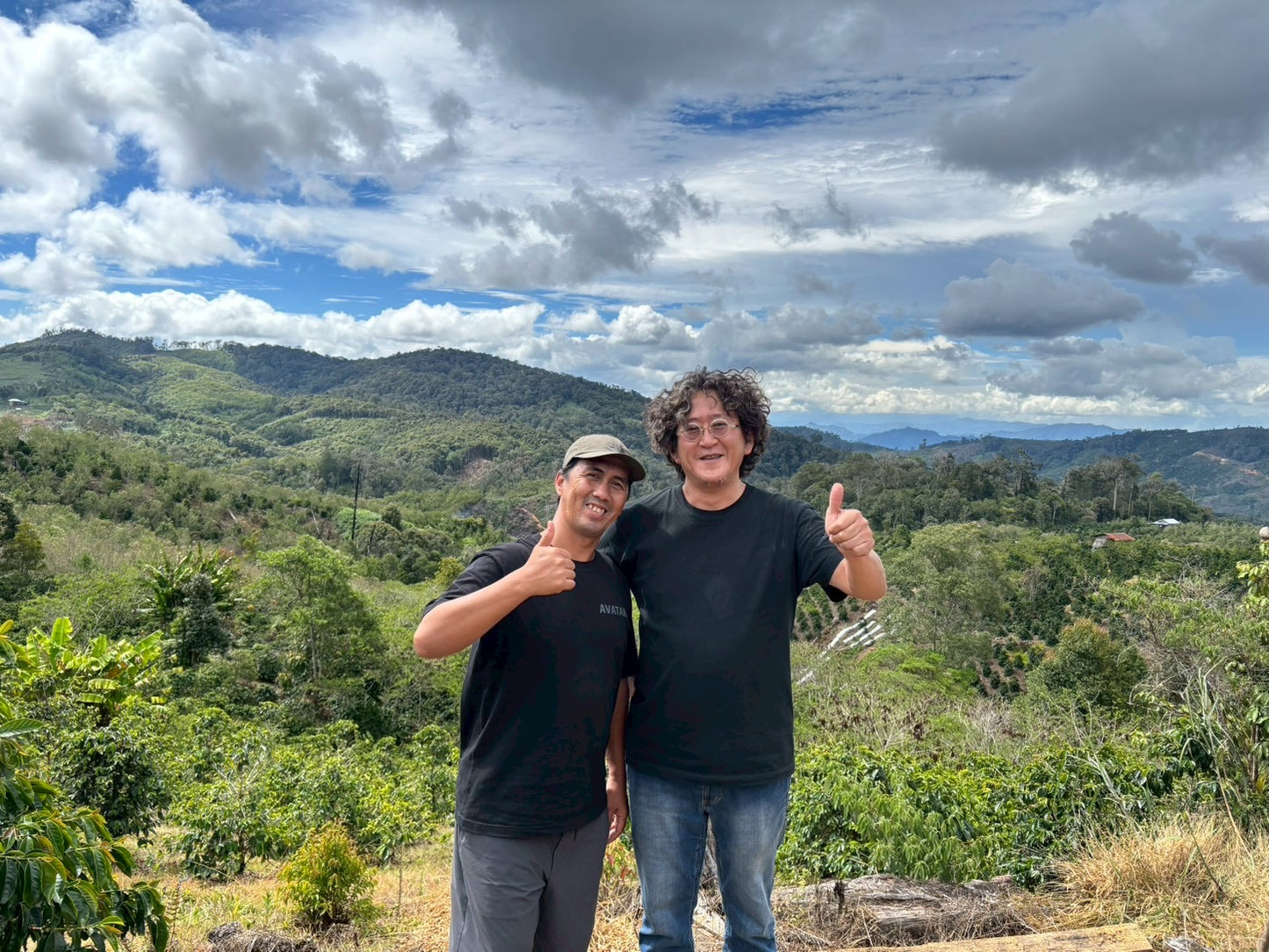 インドネシア/ Aceh Avatara WS GAYO MOUNTAIN/ Extreme washed/ 中煎り