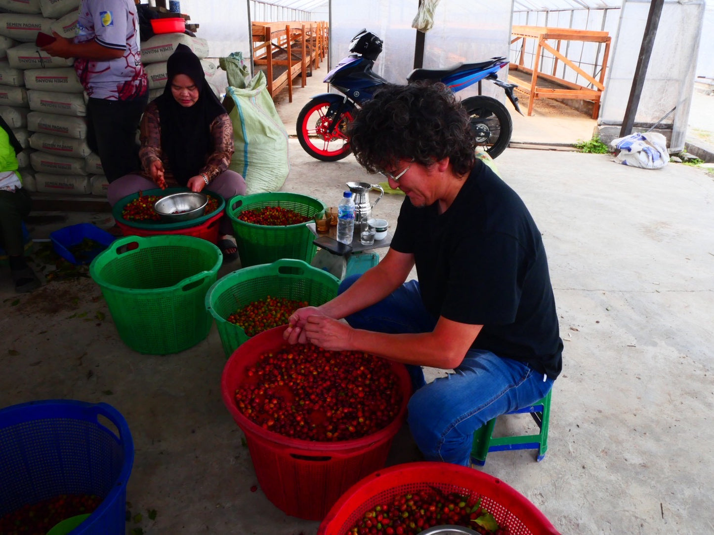 インドネシア/ Aceh Avatara WS GAYO MOUNTAIN/ Extreme washed/ 中煎り