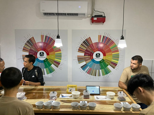 ニカラグア VOLCANCITOS /CATUAI double wash/ 浅煎り