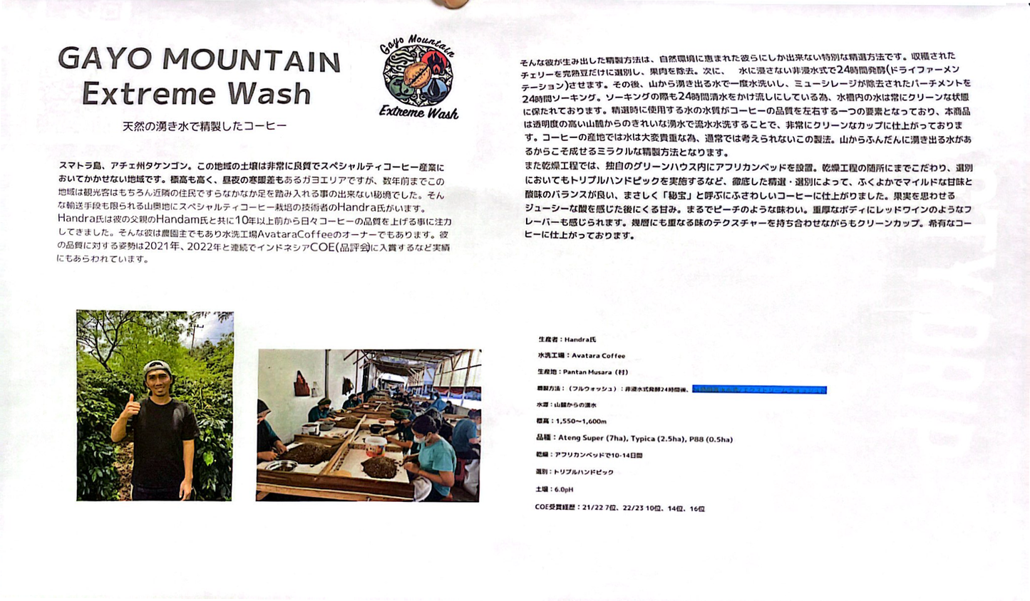 インドネシア/ Aceh Avatara WS GAYO MOUNTAIN/ Extreme washed/ 中煎り