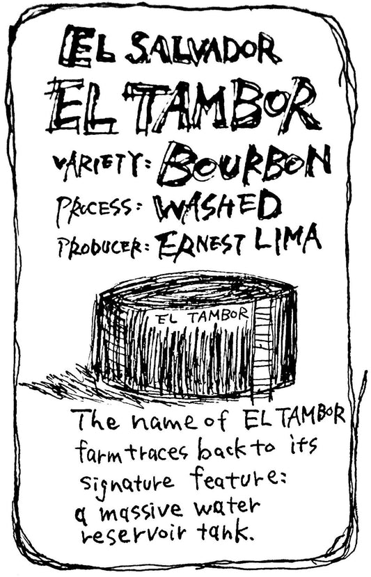 エルサルバドル / EL TAMBOR / ブルボン / WASHED 深煎り