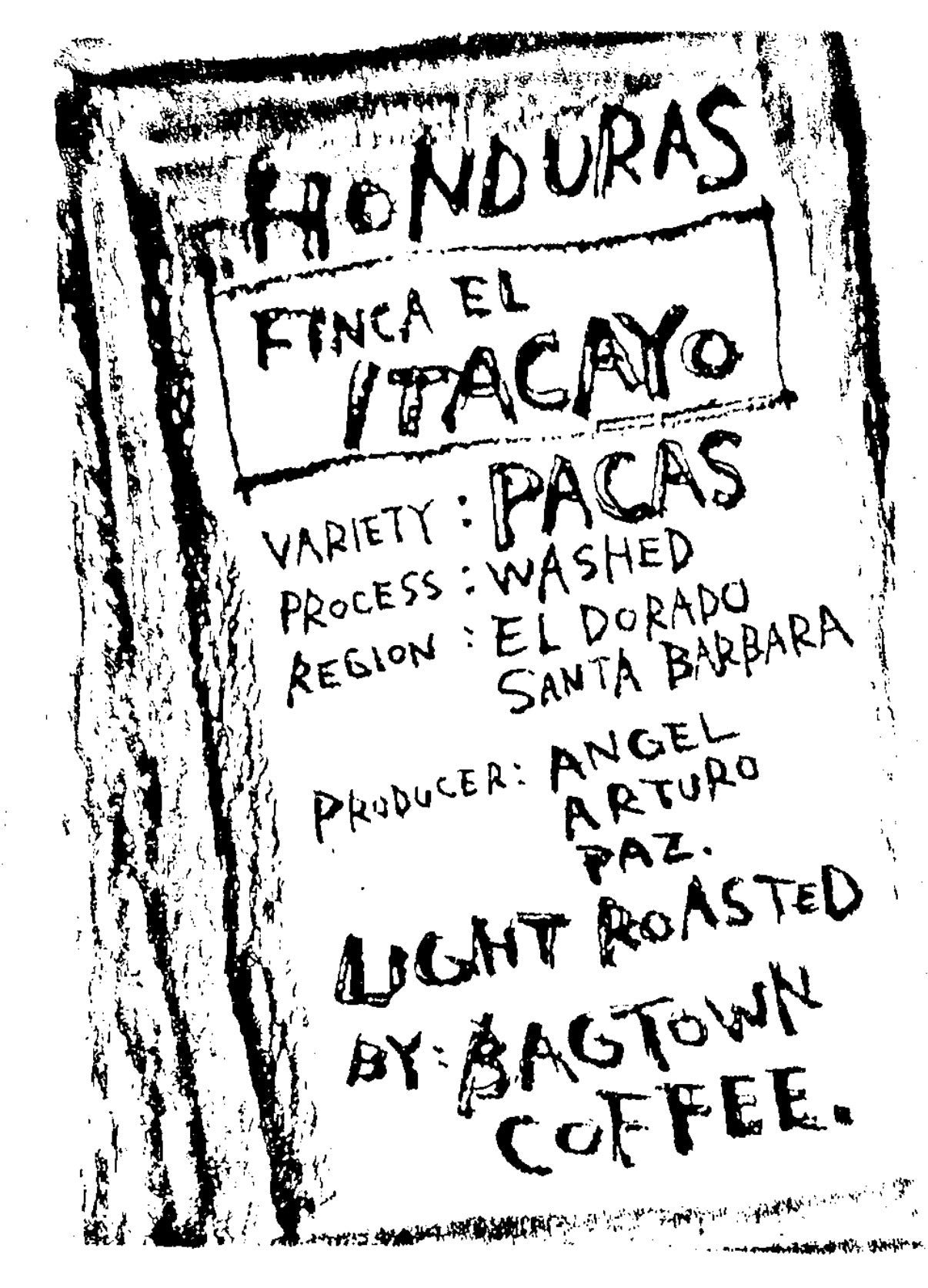 ホンジュラス /El ITACAYO/ Pacas/ Washed/ 浅煎り