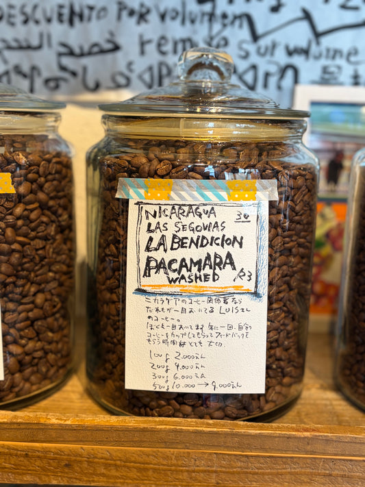 [COFFEE SET]2026 春はPACAMARA