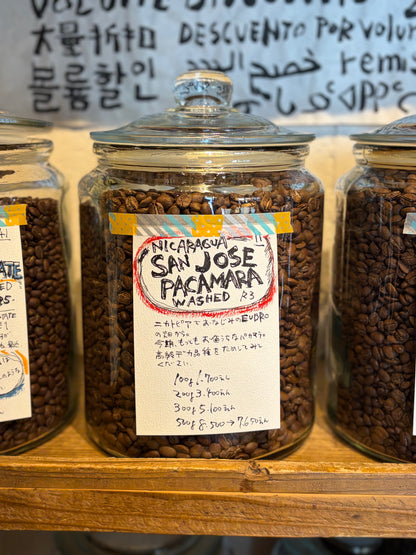 [COFFEE SET]2026 春はPACAMARA 50g×3種