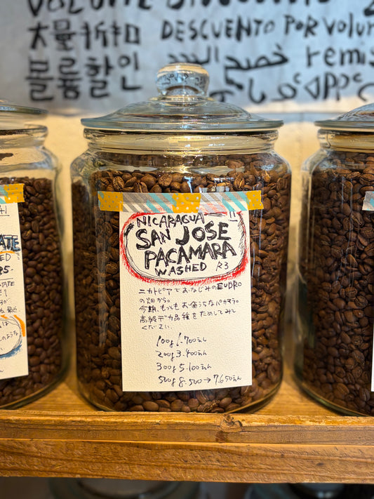 [COFFEE SET]2026 春はPACAMARA
