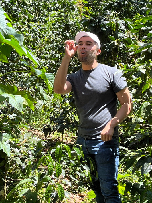 ニカラグア El Cambalache / MARACATURRA natural / 浅煎り