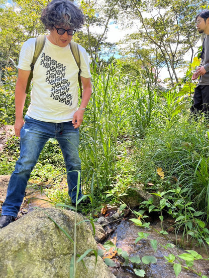 ニカラグア El Cambalache / MARACATURRA washed / 中深煎り