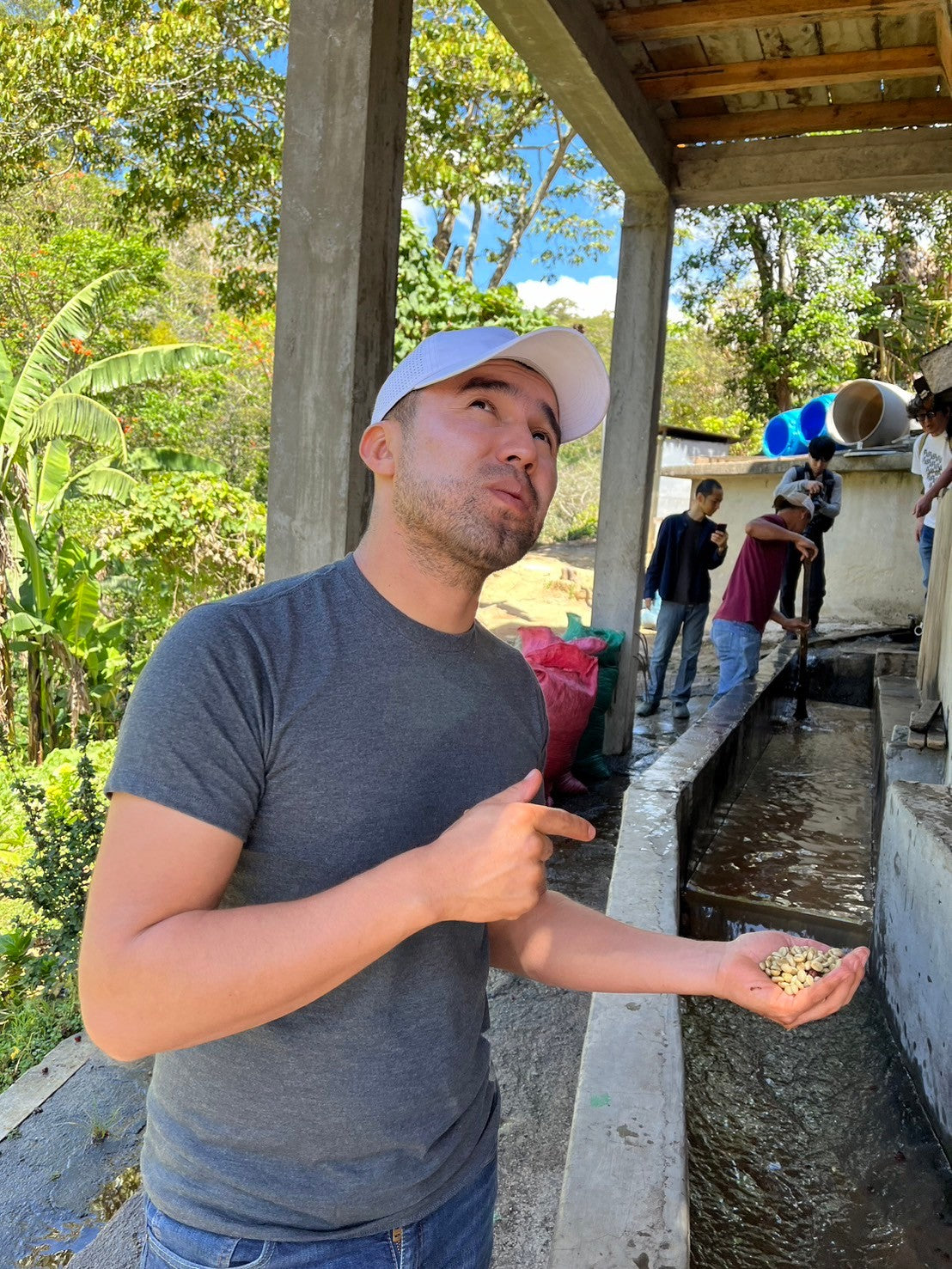 ニカラグア El Cambalache / MARACATURRA washed / 中深煎り