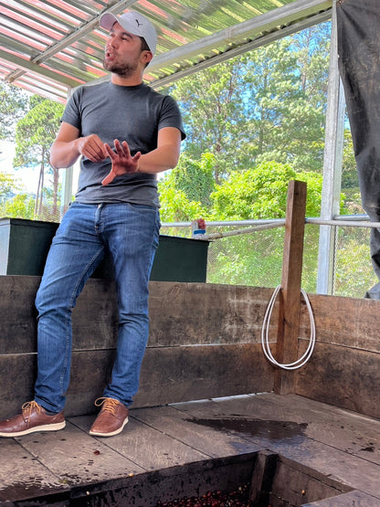 ニカラグア El Cambalache / MARACATURRA washed / 中深煎り