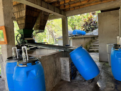 ニカラグア El Cambalache / MARACATURRA washed / 中深煎り