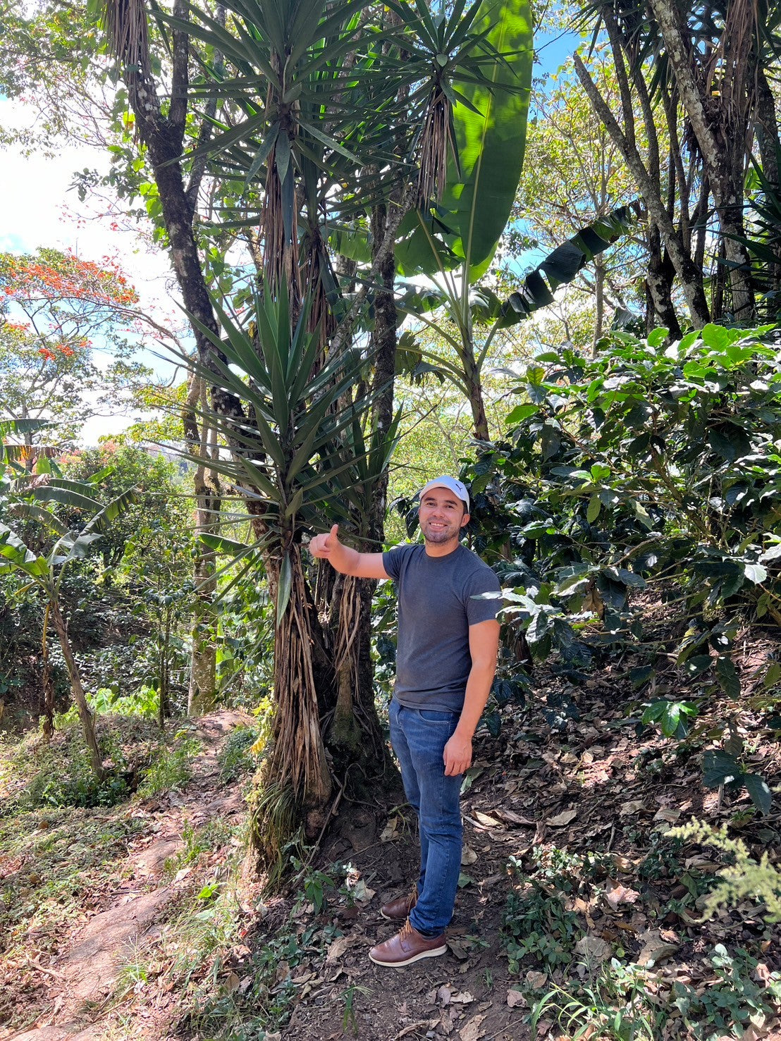 ニカラグア El Cambalache / MARACATURRA washed / 中深煎り