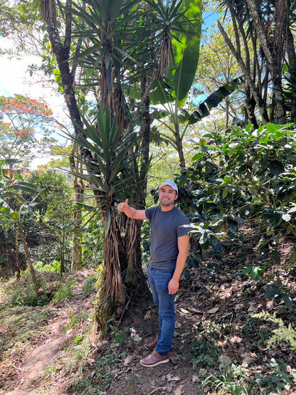 ニカラグア El Cambalache / MARACATURRA washed / 中深煎り