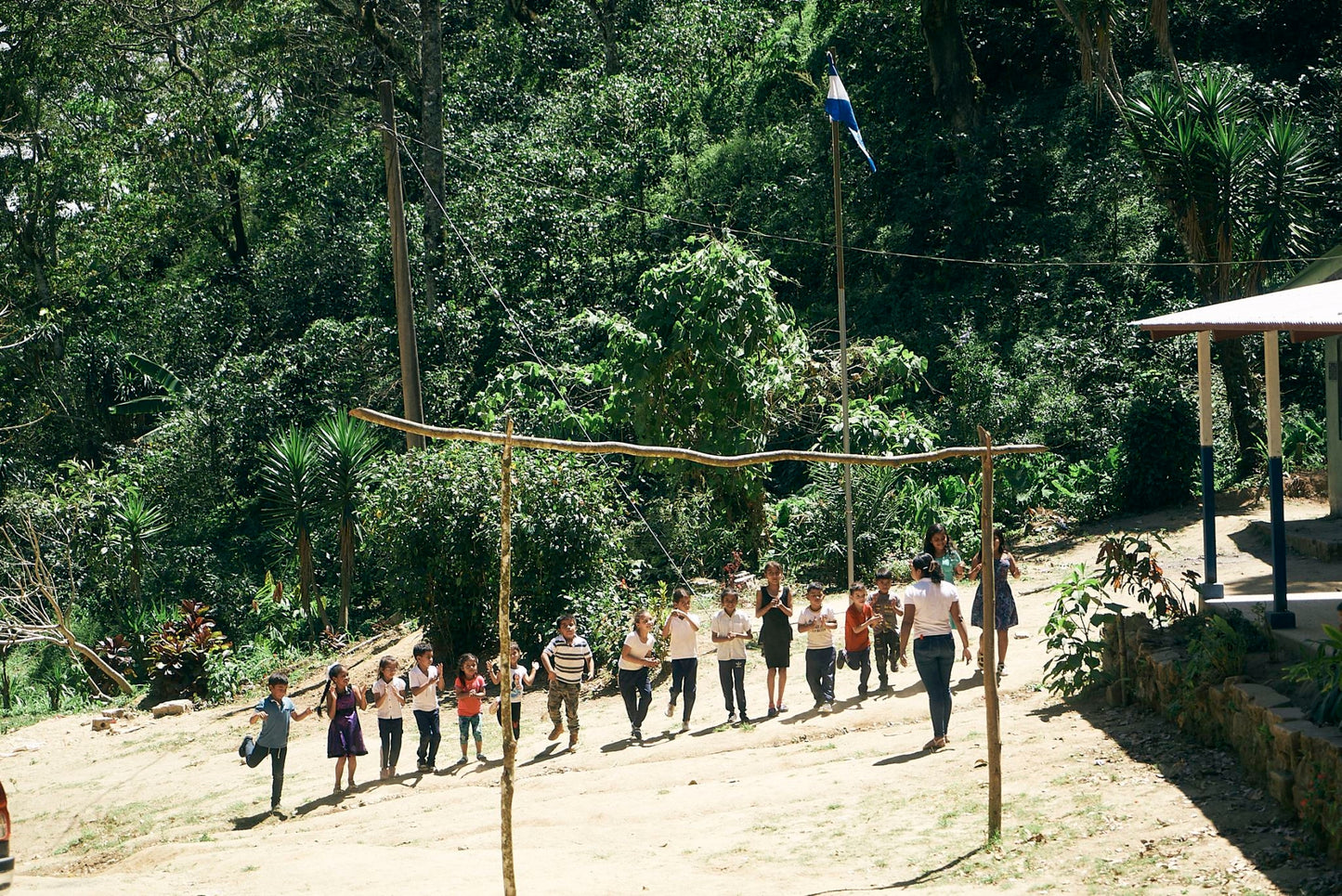 ニカラグア El Cambalache / MARACATURRA washed / 中深煎り