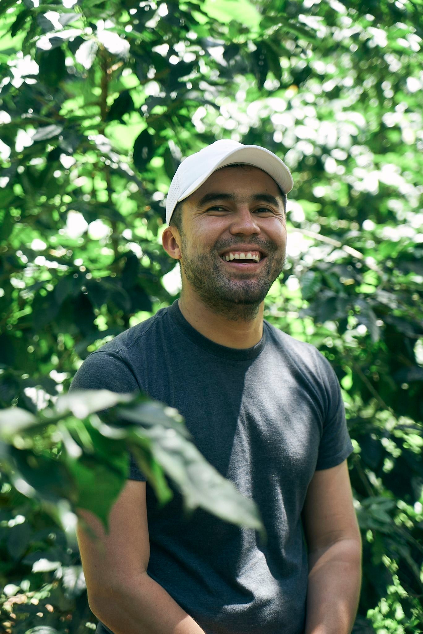 ニカラグア El Cambalache / MARACATURRA washed / 中深煎り