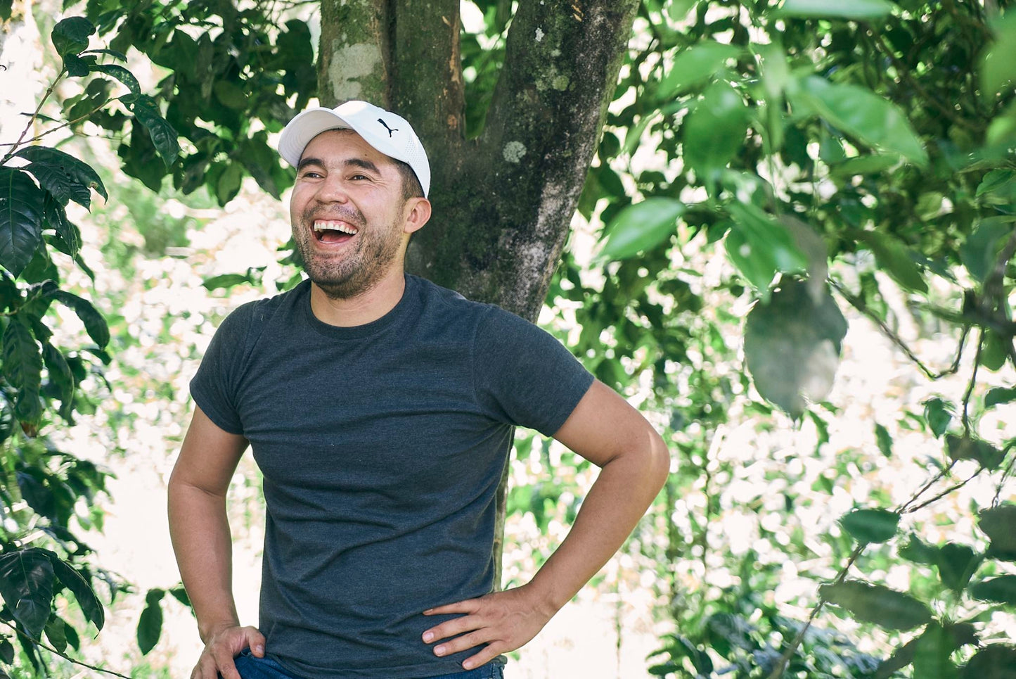 ニカラグア El Cambalache / MARACATURRA washed / 中深煎り