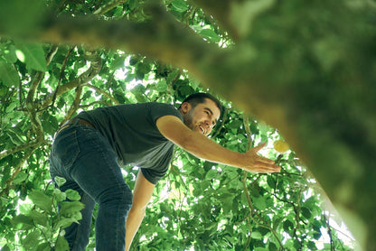 ニカラグア El Cambalache / MARACATURRA washed / 中深煎り