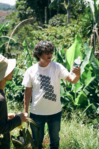 ニカラグア El Cambalache / MARACATURRA washed / 中深煎り