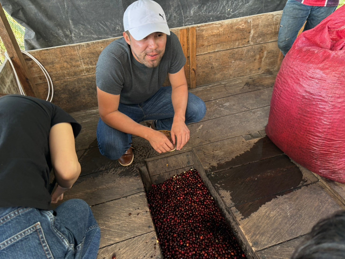 ニカラグア El Cambalache / MARACATURRA washed / 中深煎り