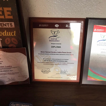 ニカラグア El Cambalache / MARACATURRA washed / 中深煎り