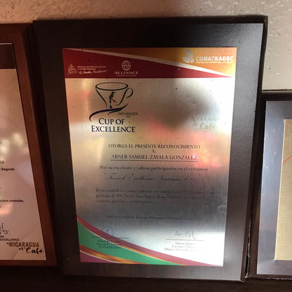 ニカラグア El Cambalache / MARACATURRA washed / 中深煎り