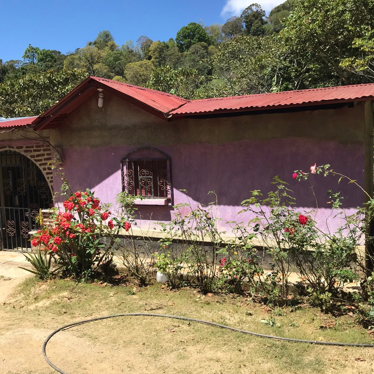 ニカラグア El Cambalache / MARACATURRA washed / 中深煎り