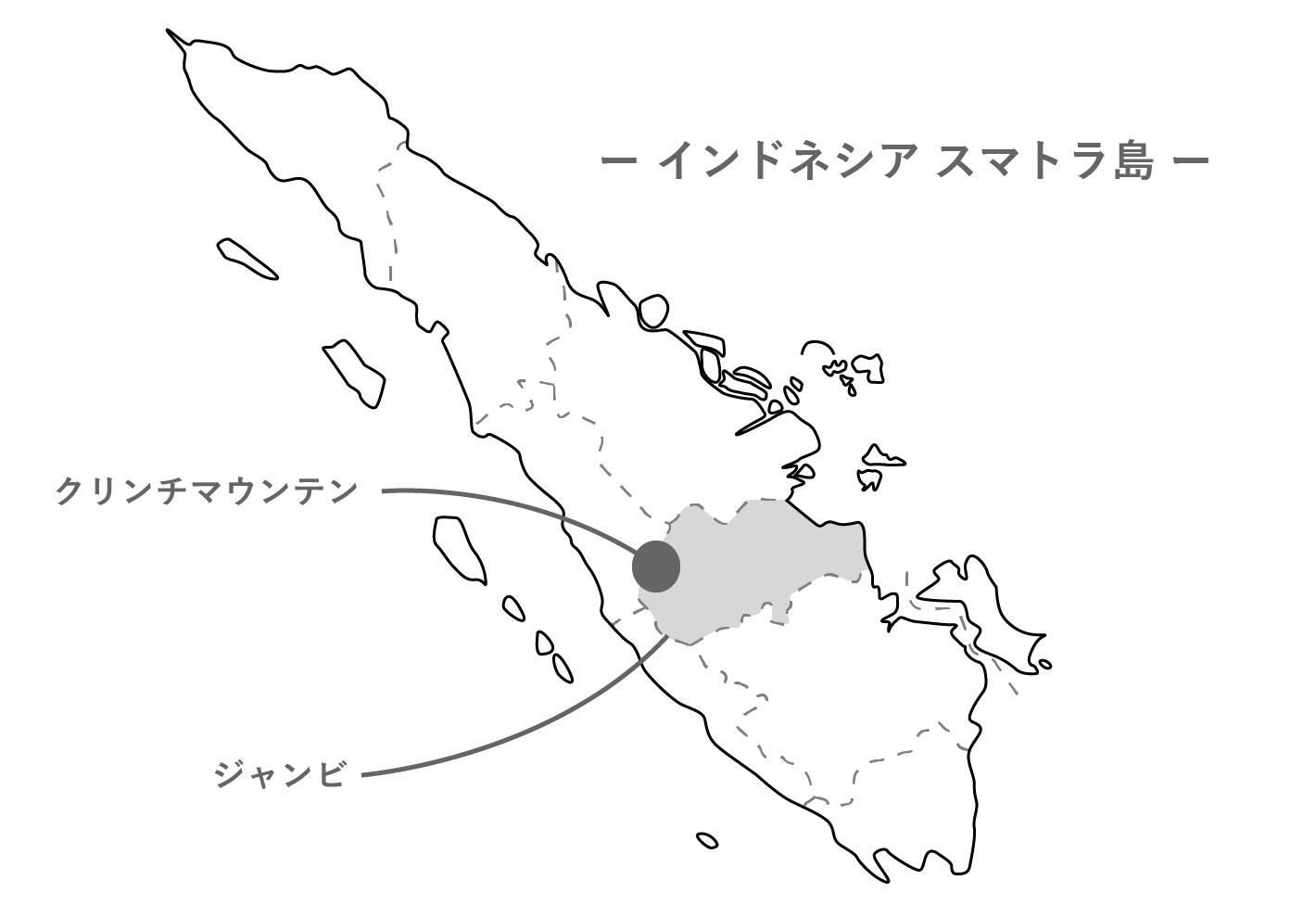 Kerinci Mosto Washed /インドネシア スマトラ島 クリンチマウンテン [浅煎り]