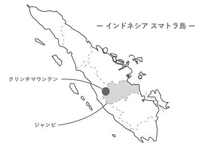 Kerinci Mosto Washed /インドネシア スマトラ島 クリンチマウンテン [浅煎り]