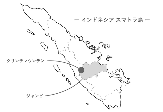 Kerinci Mosto Washed /インドネシア スマトラ島 クリンチマウンテン [浅煎り]