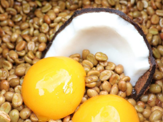 [INFUSED] コロンビア /COFINET /COCO&PEACH /castillo infused honey 浅煎り